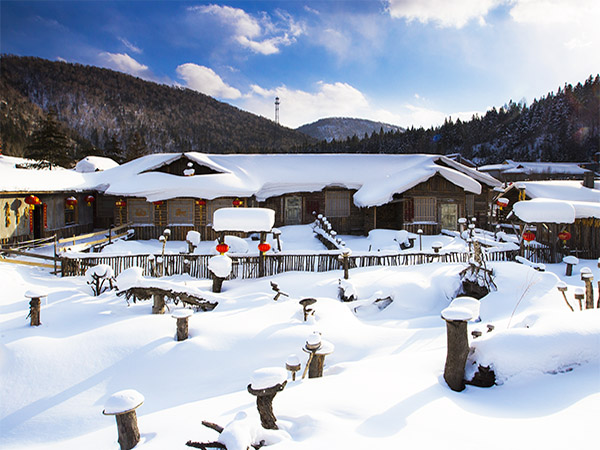 Beihai Park in Summer